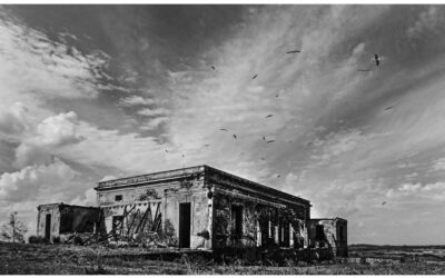 Fotografando a Ilha de Flores: mistério, ruínas e memória no Rio da Prata